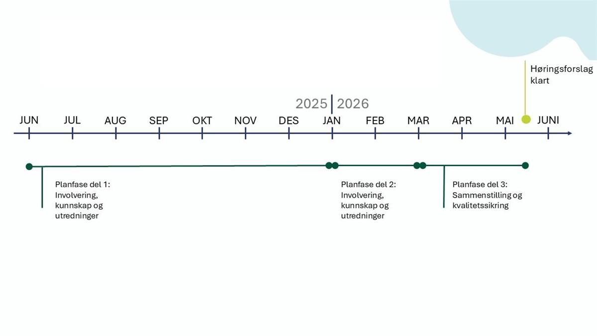Illustrasjon som viser framdrift for planfasen, fra juni 2025 til juni 2026. - Klikk for stort bilde